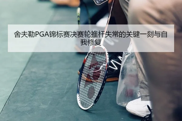 she-fu-lei-jin-biao-sai-jue-sai-lun-tui-gan-shi-chang-de-guan-jian-yi-ke-yu-zi-wo-xiu-fu-2-992.jpg